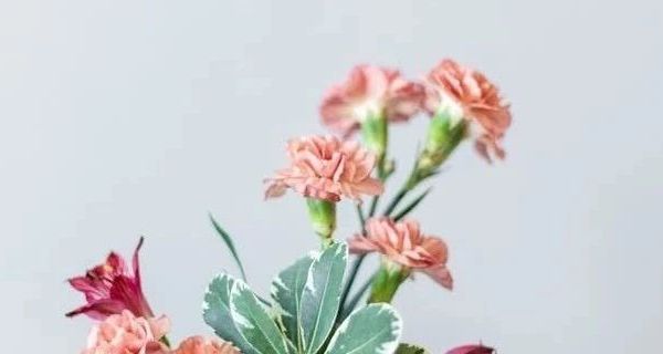 成毅同款伯希和山海冲锋衣测评：鹅绒内胆与三合一设计如何应对秋冬户外挑战