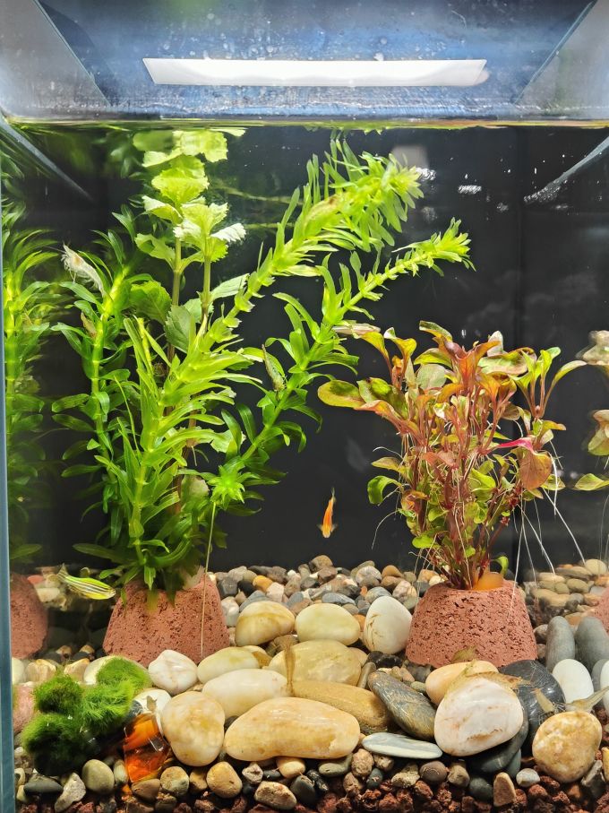米家智能鱼缸/水族箱