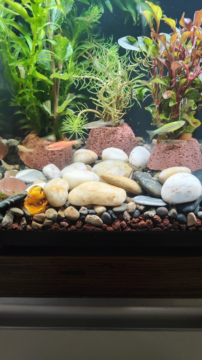 米家智能鱼缸/水族箱