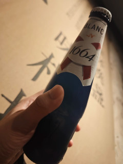 朋友聚会来点1664白啤
