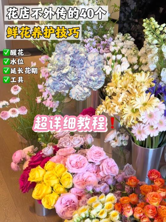 花店不外传的40个鲜花养护秘籍❗️第1️⃣期