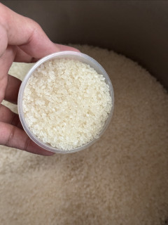 站内明星米，乳玉皇妃凝玉稻香贡米好价就囤