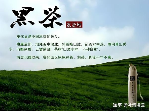 哪些品种的茶叶适合老年人喝？