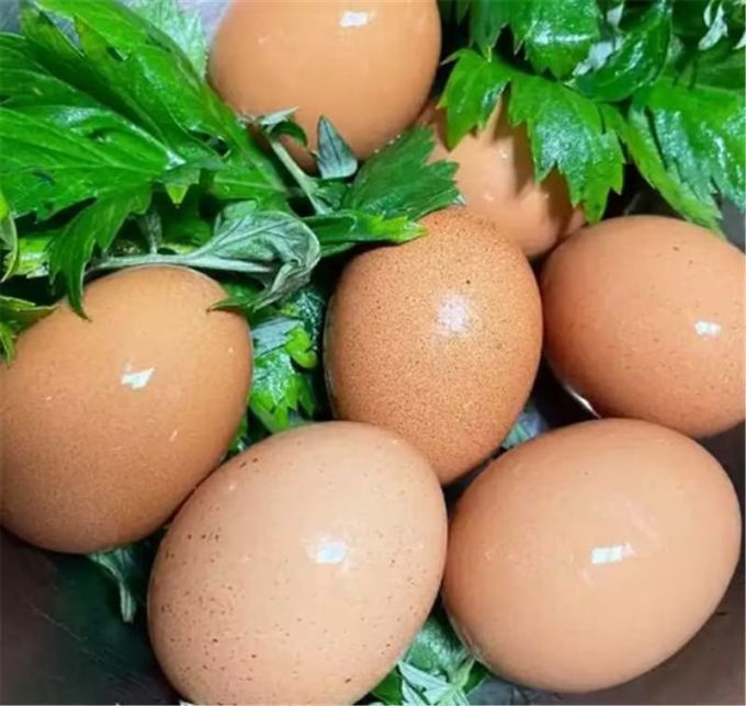 禽蛋肉类
