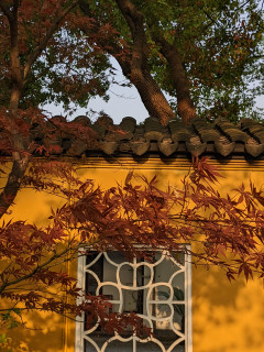 苏州小众景点之报恩寺塔