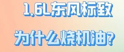 1.6L东风标致为什么烧机油？如何解决？