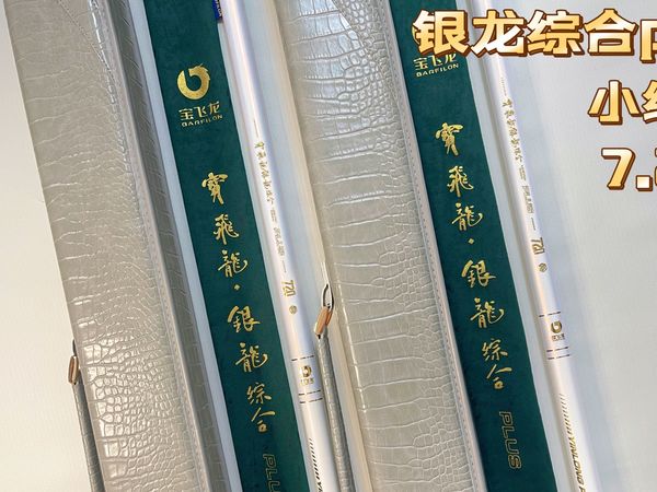 千元级小综合居然用上了日本东丽50T碳布？鱼竿测评：宝飞龙银龙综合PLUS！