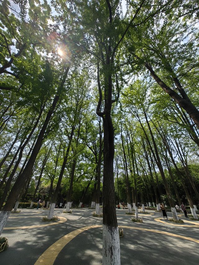 早春华东游，防晒要做好