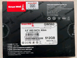 长城GW560系列512GB SSD固态硬盘：高效读写，通用兼容