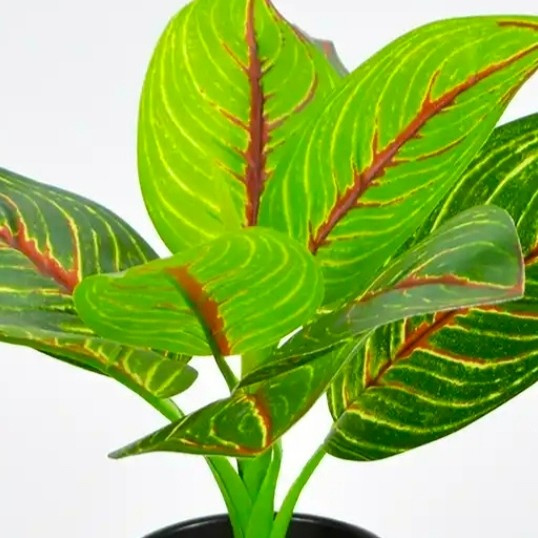 春季家居布置灵感，如：植物装饰、色彩搭配方 