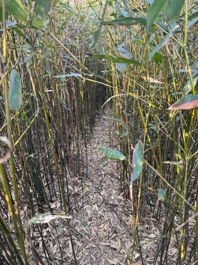 跃我智能手表