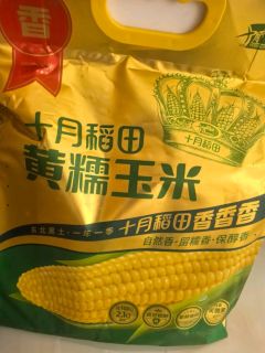 🌽十月稻田黄糯玉米，东北甜黏美味，早餐新选择！🌽