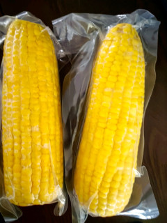 🌽十月稻田黄糯玉米，东北甜黏美味，早餐新选择！🌽