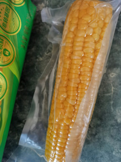 🌽十月稻田黄糯玉米，东北甜黏美味，早餐新选择！🌽