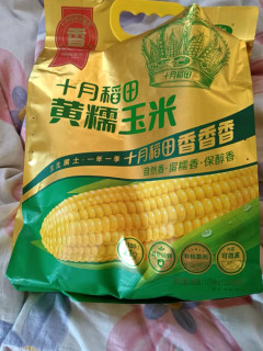 🌽十月稻田黄糯玉米，东北甜黏美味，早餐新选择！🌽