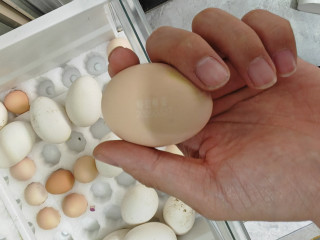 正大食品可生食鲜鸡蛋礼盒