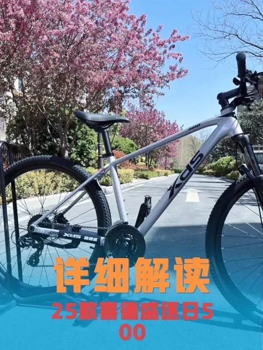 25款喜德盛逐日500深度解读!#喜德盛 #双轮驱动bike #爱生活爱骑行 #自行车 #山地车推荐