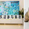 云鯨逍遙002新品評(píng)測(cè)：重新定義潔凈與省心！