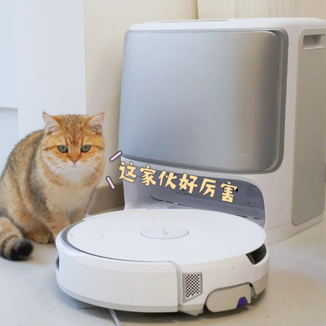 云鲸逍遥002新品评测：重新定义洁净与省心！