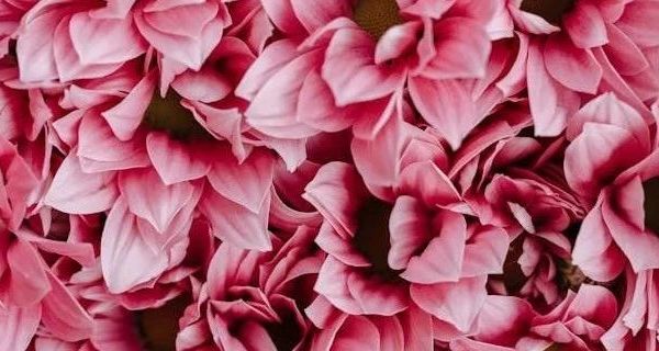 秋冬时尚单品：羊毛贝雷帽的全面解析