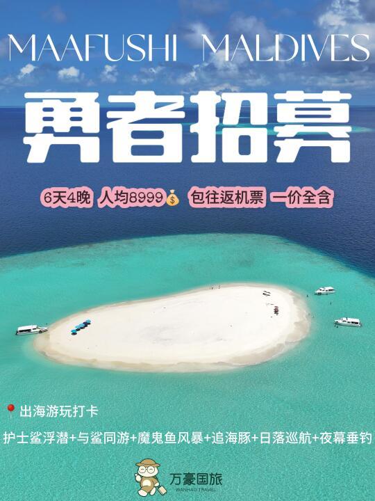 4-6月游马代📍“与鲨同游”勇者招募啦