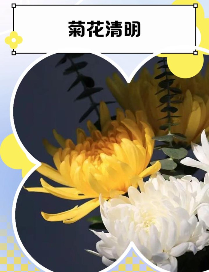 陈一凡花果茶