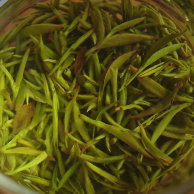 详细说说江苏绿茶代表——洞庭碧螺春