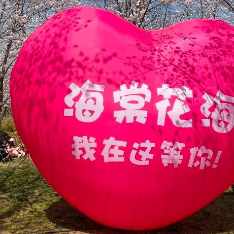 合肥海棠：春日花海中的粉色绮梦