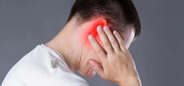 哪款耳机的性价比最高？南卡、Bose耳机测评