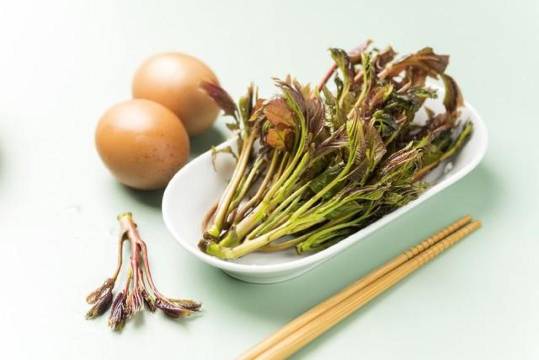 香椿与时间的竞速:春日鲜味如何被现代人按下暂停键