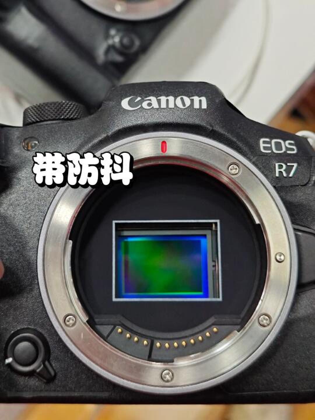 全画幅与半画幅相机终极对决:传感器尺寸如何影响你的摄影选择