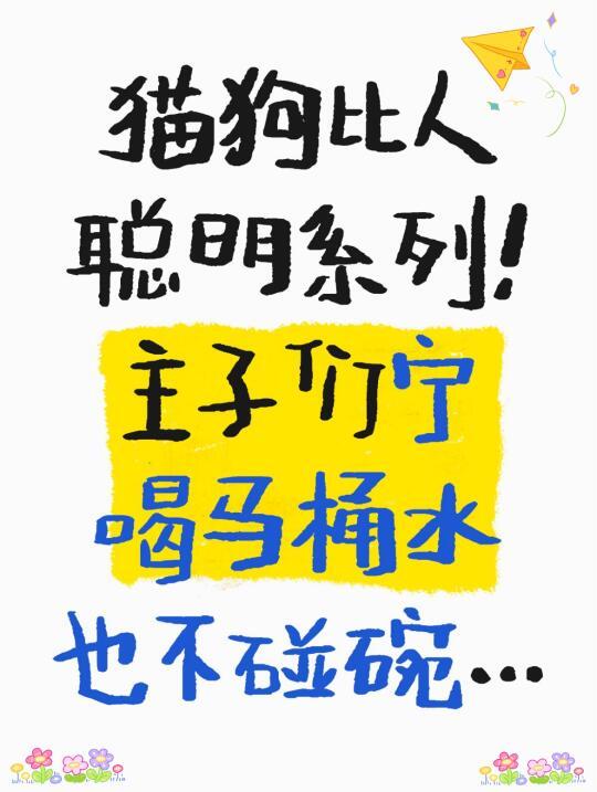 三代人+毛孩的喝水革命！