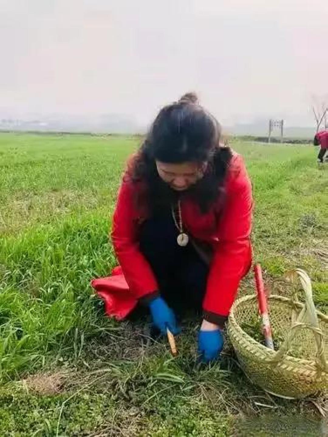 年轻人手握小铲子掀起绿色革命：零成本"打野"如何成为95后新社交货币？