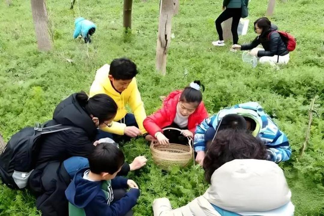 年轻人手握小铲子掀起绿色革命：零成本"打野"如何成为95后新社交货币？