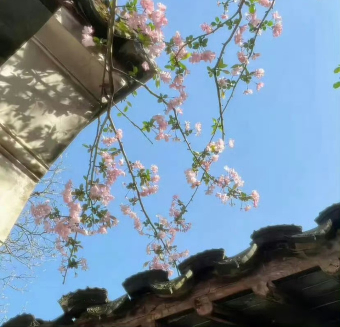 黄金首饰
