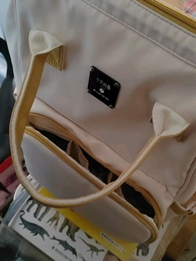 十月结晶妈咪包：时尚与实用并存的母婴出行好帮手