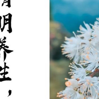 清明养生：和春天打个舒服的照面
