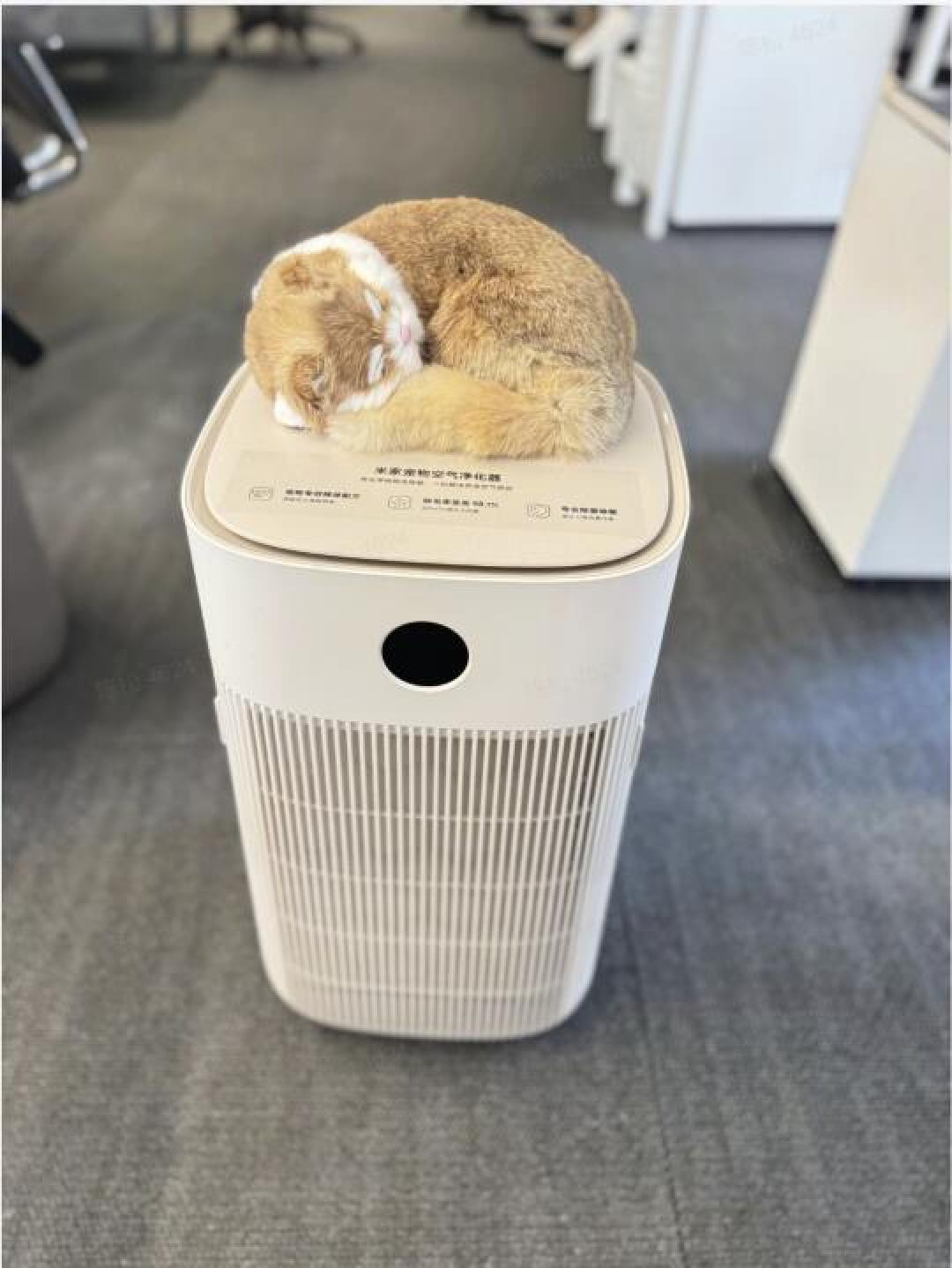 小米宠物净化器黑科技:铲屎官呼吸自由,毛发异味全搞定