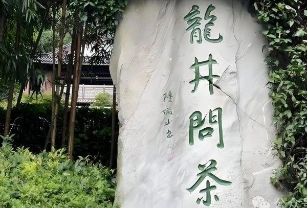 99%的人不懂“龙井问茶”：未问先输！群体种、明前茶、狮峰龙井......你的西湖龙井靠谱吗？