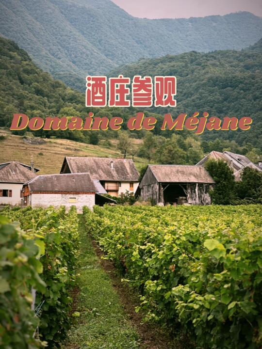 一眼心动🇫🇷萨瓦超美葡萄园