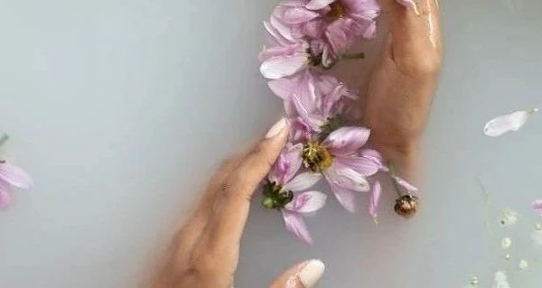 日本美源染发剂家庭使用观察:植物成分与遮白效果实测