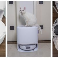 云鲸J5 Max：直击已婚有娃养猫家庭清洁痛点，再多养两只也不怕了