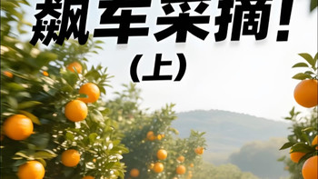 果子狸——带你们飙车，沉浸式体验水果采摘 