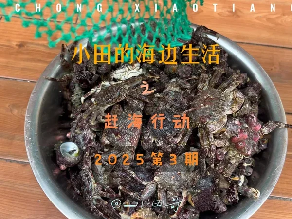 抓螃蟹的快乐,谁能体会啊? #海边生活 #赶海 #潜水 #渔猎