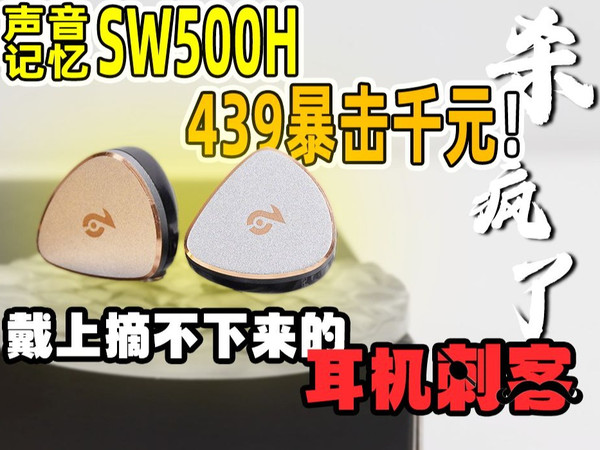 439元吊打千元耳机？！2025内卷王【声记SW500H】狗鞭の阴谋！这耳机听了会中毒！