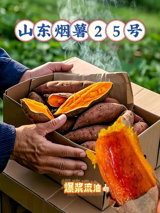 山东烟薯 25 号，冬日里的甜蜜宝藏！朋友们，今天必须给你们分享这款让无数人回购的山东烟薯 25 号蜜薯！
用空气炸锅就能轻松搞定，哪怕是厨房小白也毫无压力，绝对不会翻车！烤好的红薯，那叫一个香甜软糯