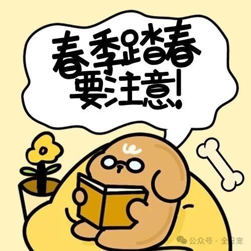 春季来临，宠物驱虫行动起来，一起去踏春！