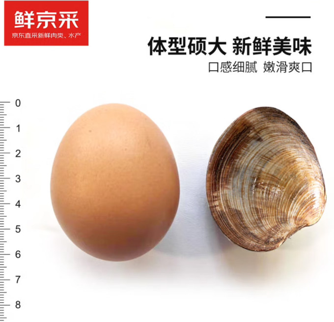 鲜京采贝类
