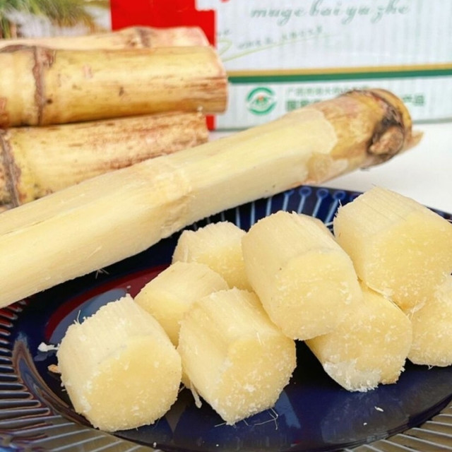 玉甘蔗：广东清明祭祖传统