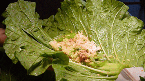 《白菜叶里包乾坤!东北大饭包如何成为碳水界顶流?》
